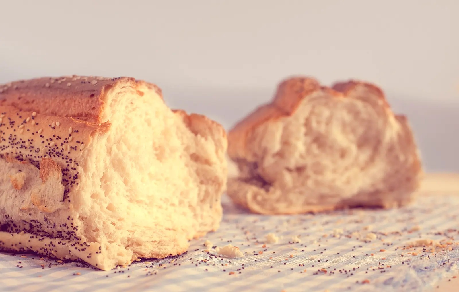 Pan de molde